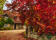 thumb housing market update 240223