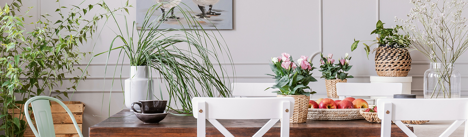 Estate Agents and Letting Agents in Shropshire