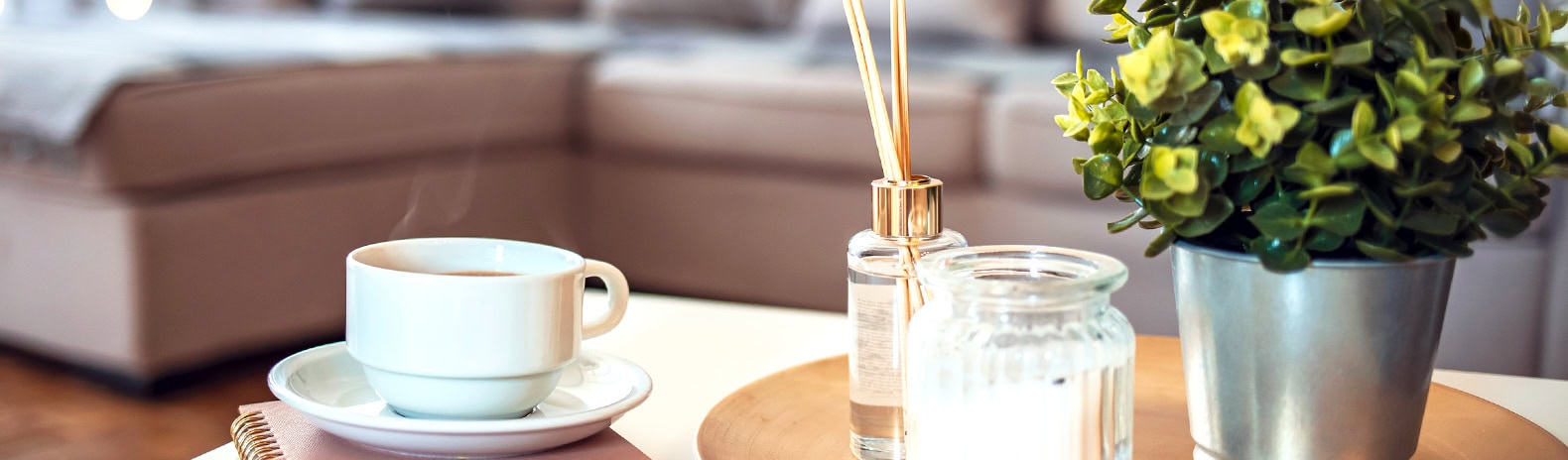 Estate Agents and Letting Agents in Shropshire