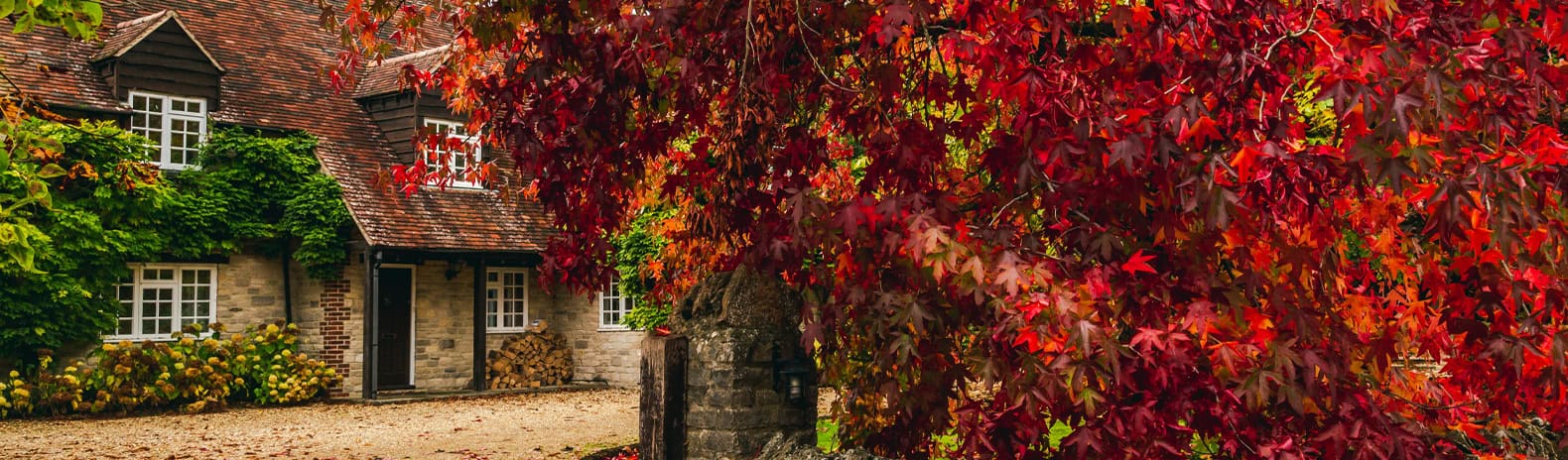 Estate Agents and Letting Agents in Shropshire