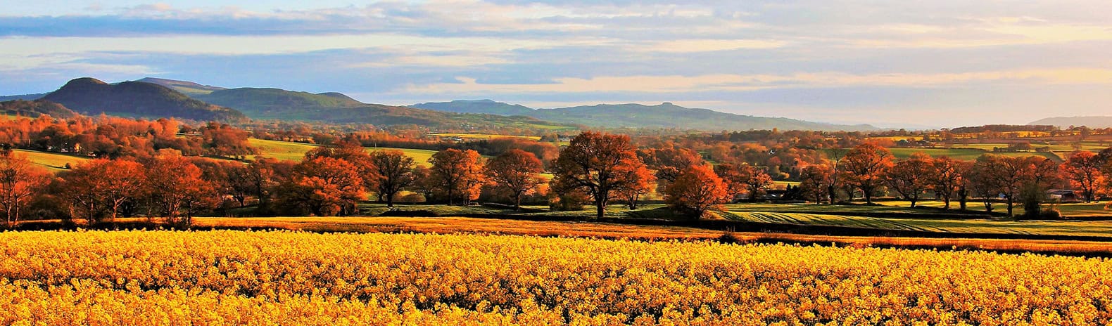 Estate Agents and Letting Agents in Shropshire