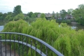 49 St Julians Crescent, Shrewsbury, Shropshire, SY1 1UD