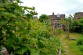 46 Washford Road, Meole Village, Shrewsbury, Shropshire, SY3 9HP